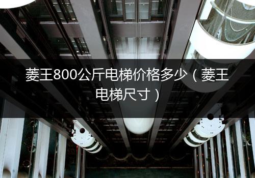 菱王800公斤电梯价格多少（菱王电梯尺寸）