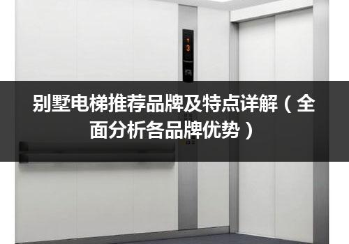 别墅电梯推荐品牌及特点详解（全面分析各品牌优势）