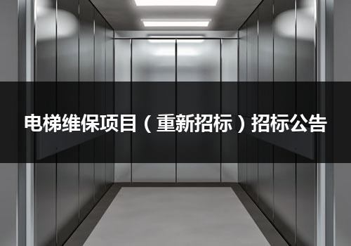 电梯维保项目（重新招标）招标公告