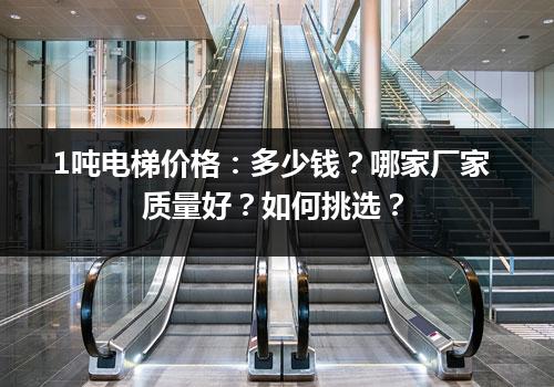 1吨电梯价格：多少钱？哪家厂家质量好？如何挑选？