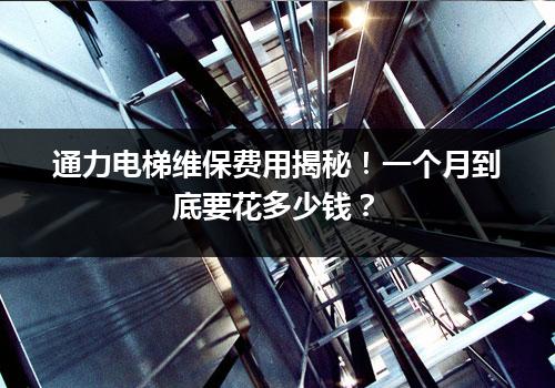 通力电梯维保费用揭秘！一个月到底要花多少钱？