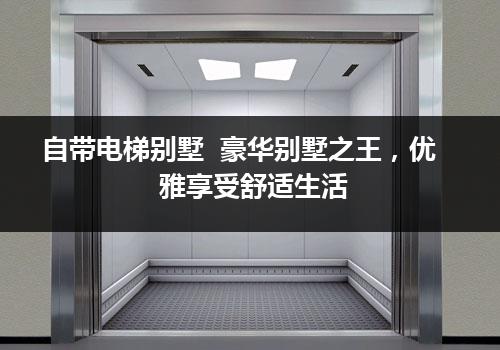 自带电梯别墅  豪华别墅之王，优雅享受舒适生活