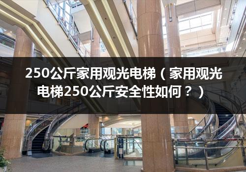 250公斤家用观光电梯（家用观光电梯250公斤安全性如何？）