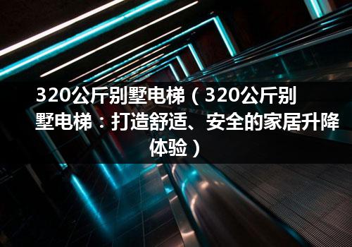 320公斤别墅电梯（320公斤别墅电梯：打造舒适、安全的家居升降体验）